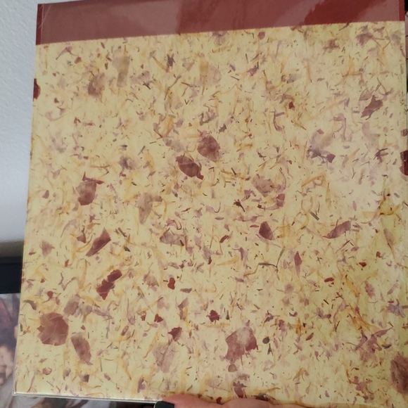 Scrapbook & Decorative Ribbons - Picture 6 of 6